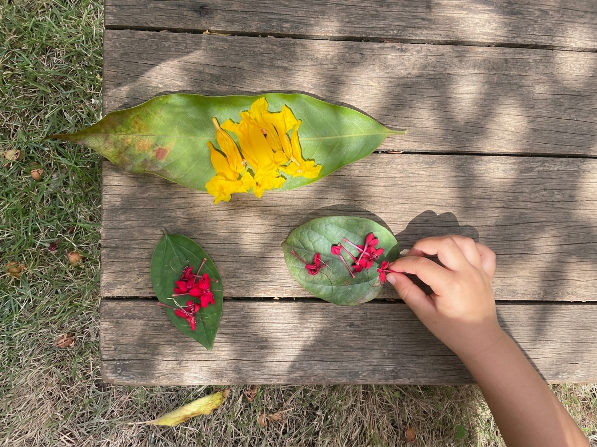 A child's hand gently placing a petal on a leaf plate of natural treasures
